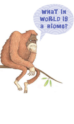 orangutan illustrated by Daniel Salmieri