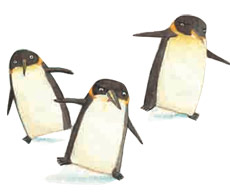Penguins illustrated by Daniel Salmieri
